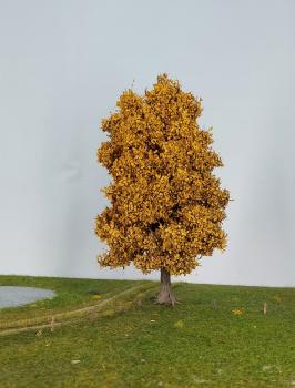 Ahorn Spätherbst Profiline
